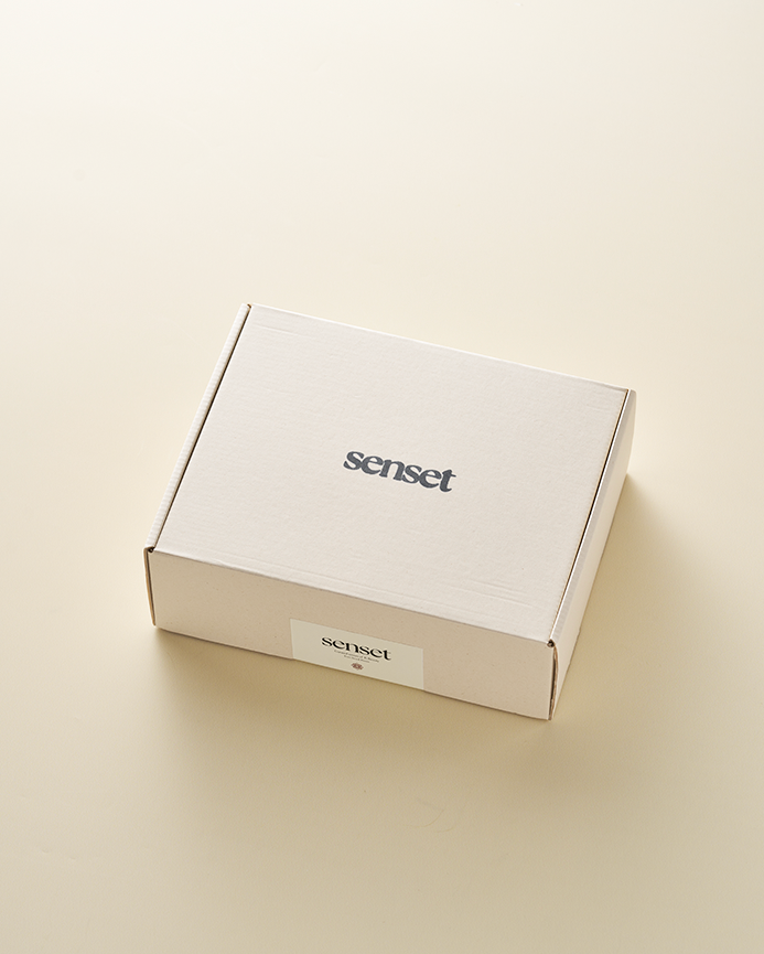 Build your senset box