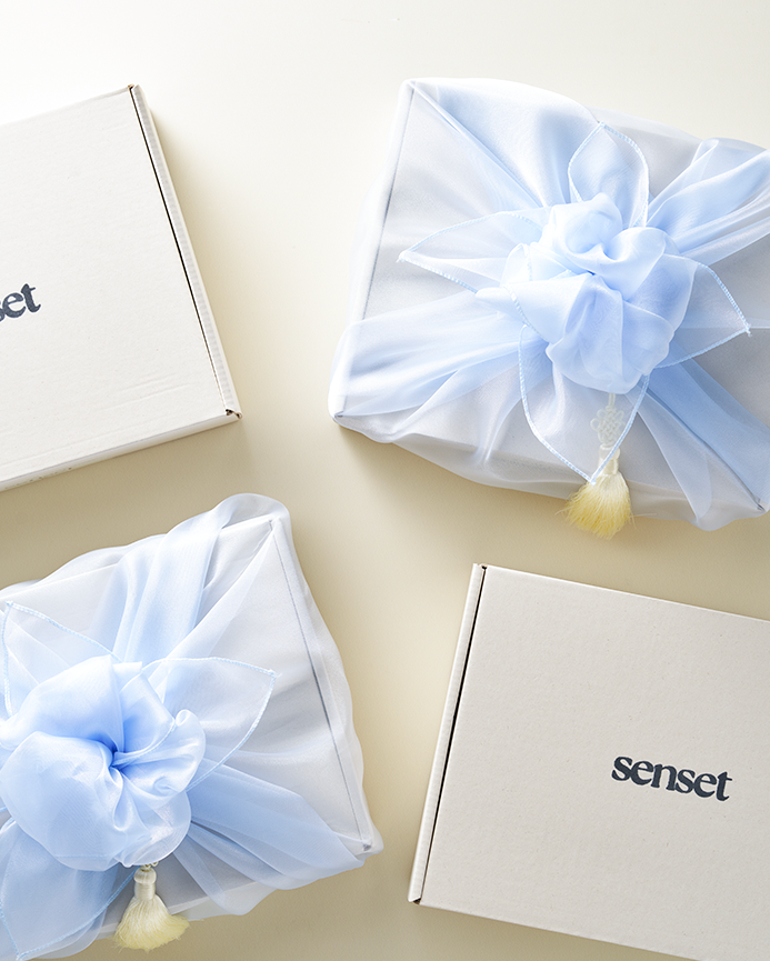 Build your senset box